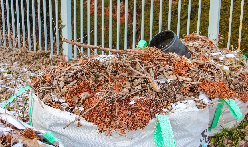 Yard Debris Removal